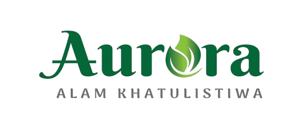 Aurora Alam Khatulistiwa