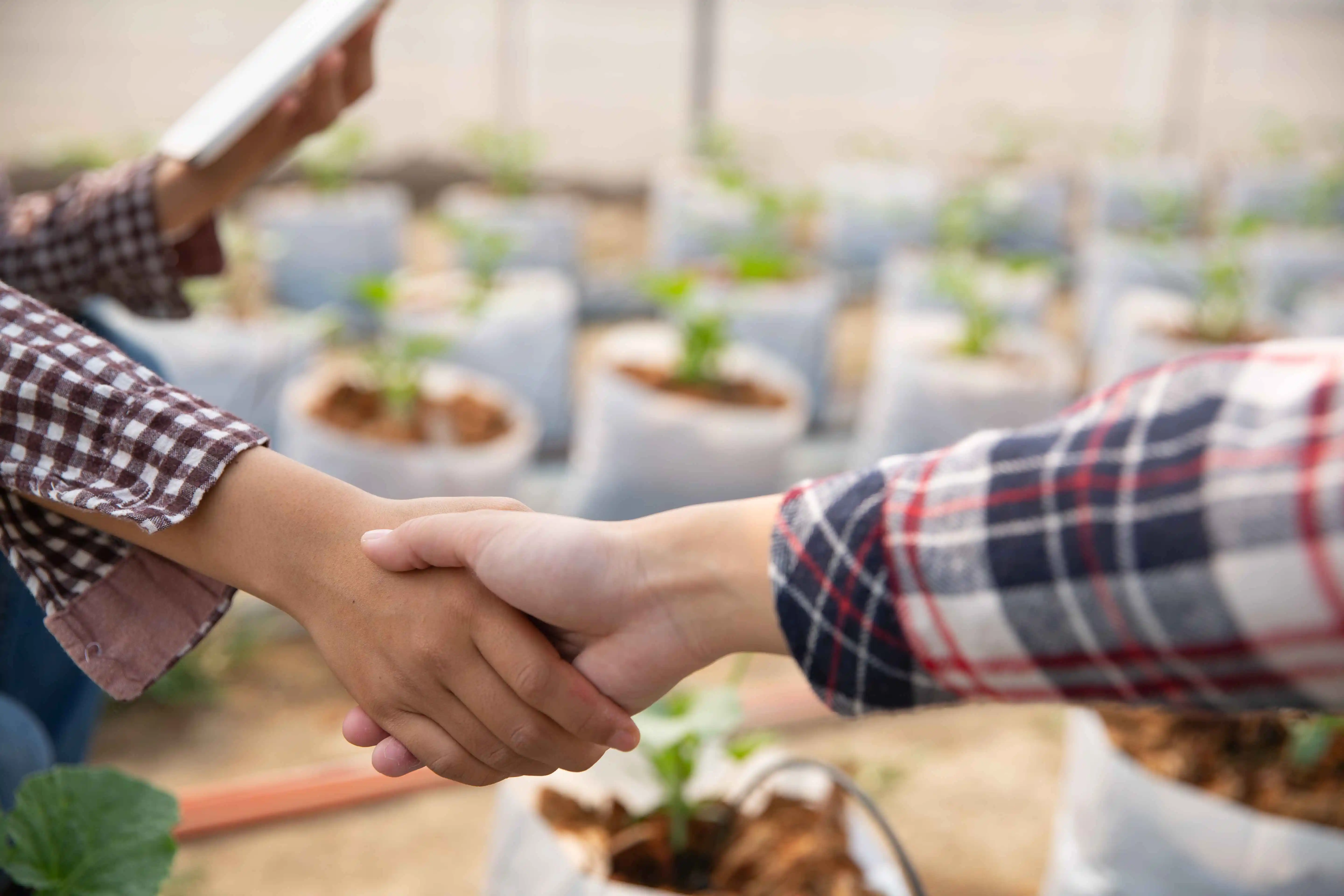 Partnership - Strategic Partnership
